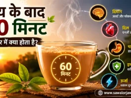 गर्म चाय के कप के साथ इन्फोग्राफिक, जिसमें चाय पीने के बाद 60 मिनट में शरीर पर होने वाले प्रभाव जैसे दिमाग, दिल, पाचन तंत्र, इम्युनिटी और ऊर्जा को दर्शाया गया है।