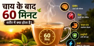 चाय पीने के बाद शरीर में 1 घंटे तक क्या होता है – हर 10 मिनट में बदलता है आपका शरीर, जानकर चौंक जाएंगे! गर्म चाय के कप के साथ इन्फोग्राफिक, जिसमें चाय पीने के बाद 60 मिनट में शरीर पर होने वाले प्रभाव जैसे दिमाग, दिल, पाचन तंत्र, इम्युनिटी और ऊर्जा को दर्शाया गया है।
