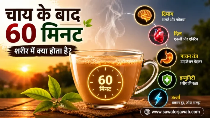 गर्म चाय के कप के साथ इन्फोग्राफिक, जिसमें चाय पीने के बाद 60 मिनट में शरीर पर होने वाले प्रभाव जैसे दिमाग, दिल, पाचन तंत्र, इम्युनिटी और ऊर्जा को दर्शाया गया है।